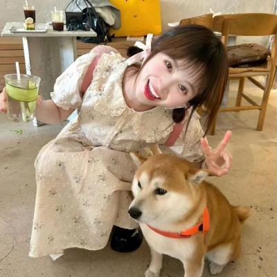 圆盘皇女 星灵节的新娘